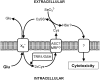 FIG. 11.