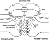 FIG. 16.