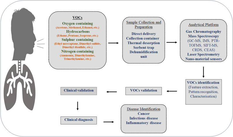 Smelling The Disease Diagnostic Potential Of Breath Analysis PMC