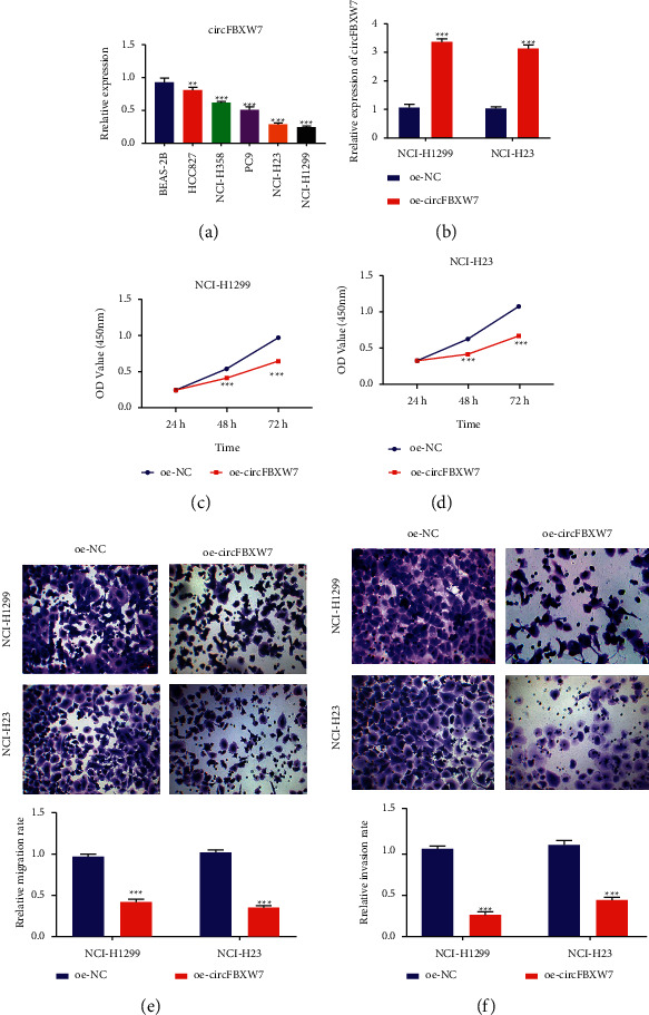 CircFBXW7 Inhibits Proliferation Migration And Invasion Of Nonsmall