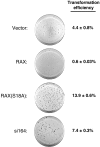 Figure 6.