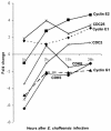 FIG. 6.
