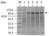 FIG. 6.
