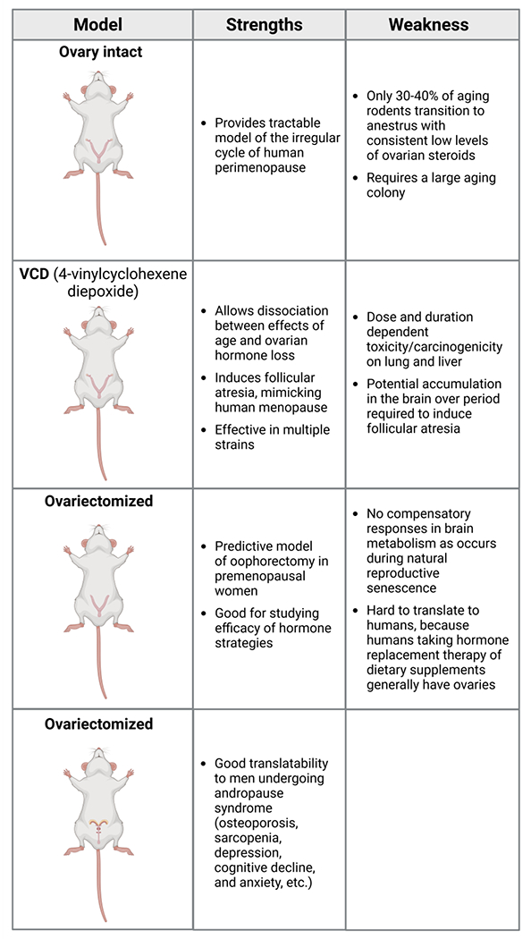 Practical Solutions For Including Sex As A Biological Variable SABV