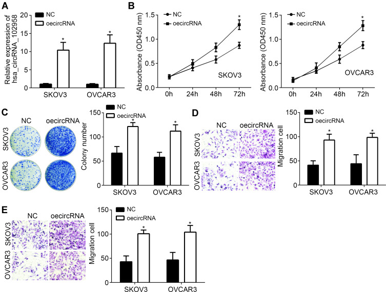 Upregulation Of Hsa Circrna Indicates Poor Prognosis And