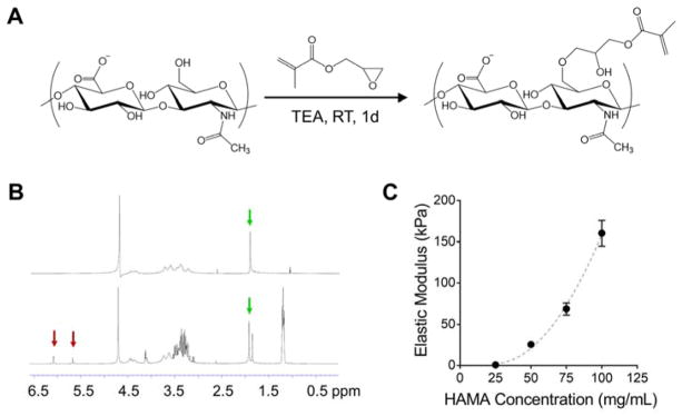 Injectable Hyaluronic Acid Based Microrods Provide Local