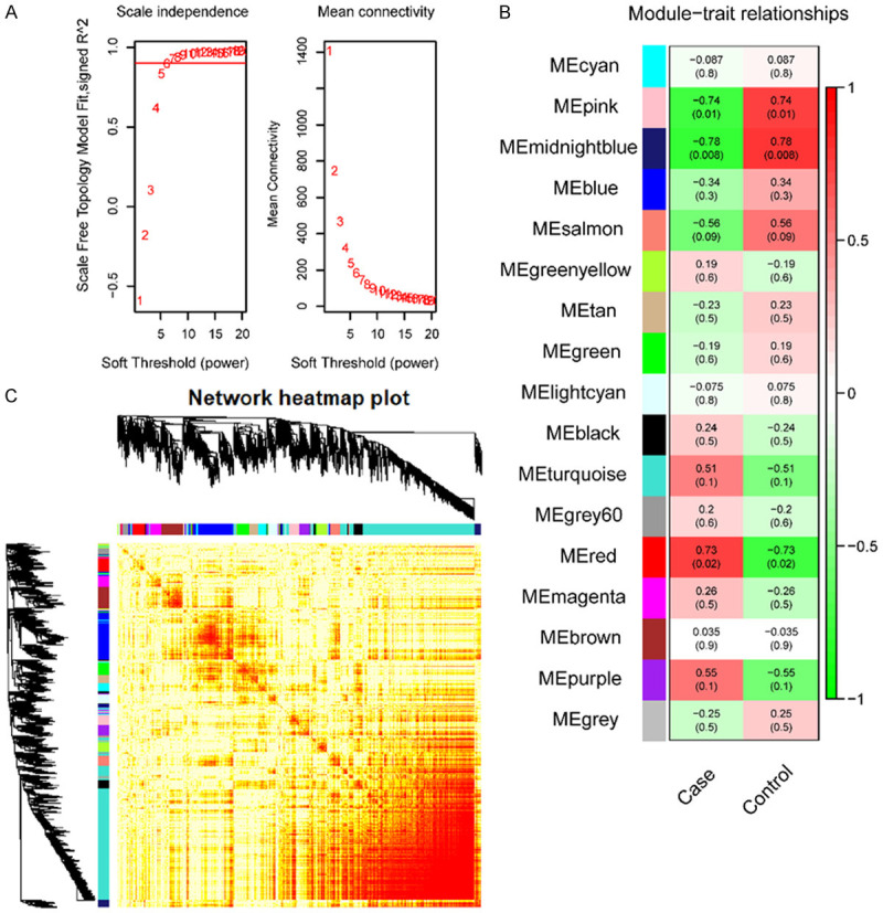 Novel Hub Genes Co Expression Network Mediates Dysfunction In A Model