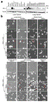 Extended Data Fig. 2