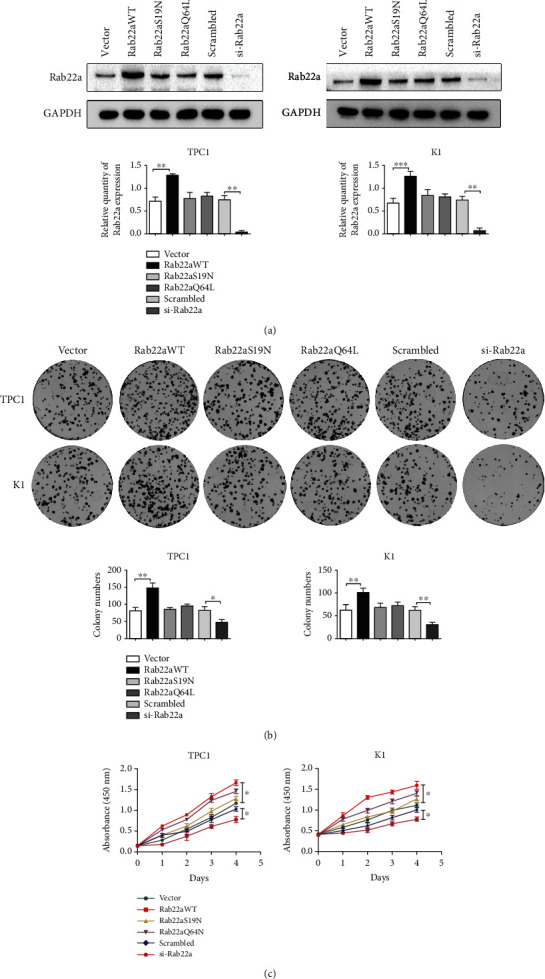 Rab22a Promotes Epithelial Mesenchymal Transition In Papillary Thyroid