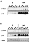FIG. 6
