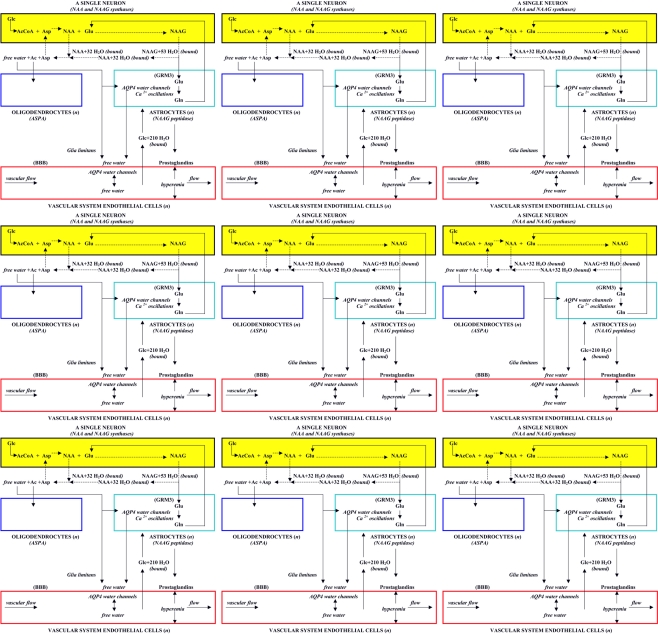 The Vertebrate Brain Evidence Of Its Modular Organization And