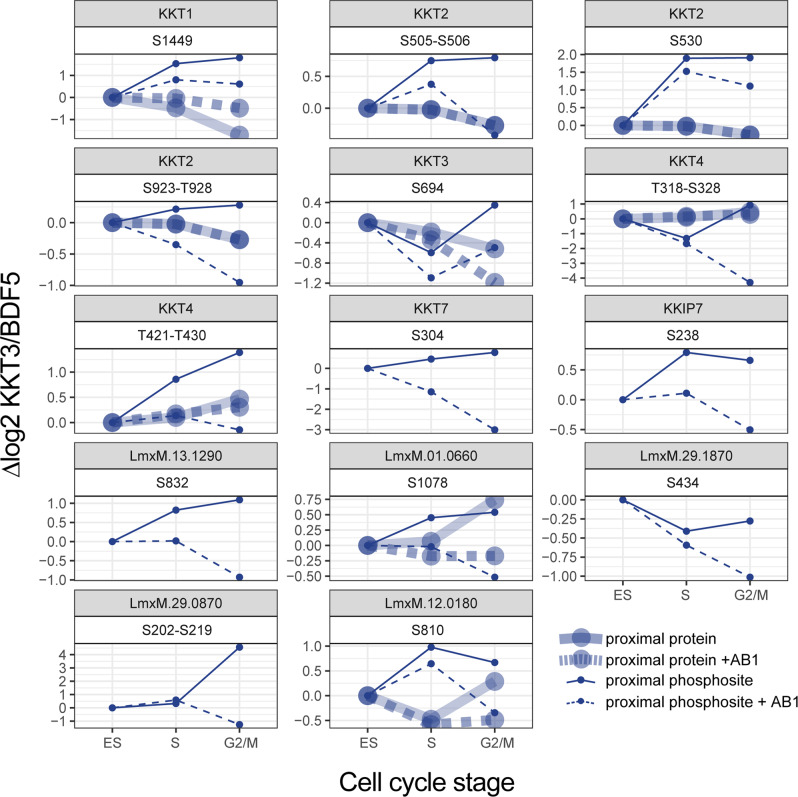 CLK1 CLK2 Driven Signalling At The Leishmania Kinetochore Is Captured