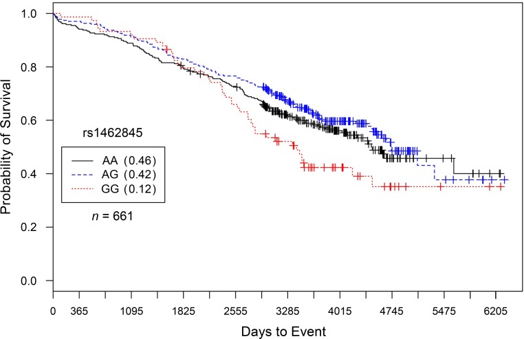 Case Only Survival Analysis Reveals Unique Effects Of Genotype Sex