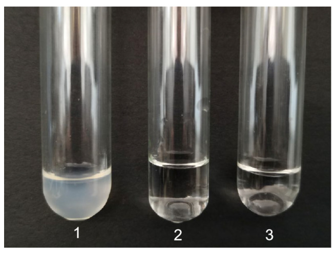 Purification And Biochemical Characterization Of A Novel Fibrinolytic