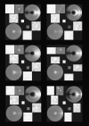 Fig. 9.