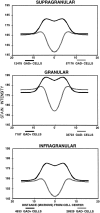 Fig. 12.