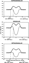 Fig. 11.