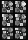 Fig. 8.