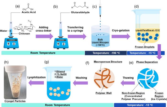 Preparation And Characterization Of Biodegradable Sponge Like Cryogel