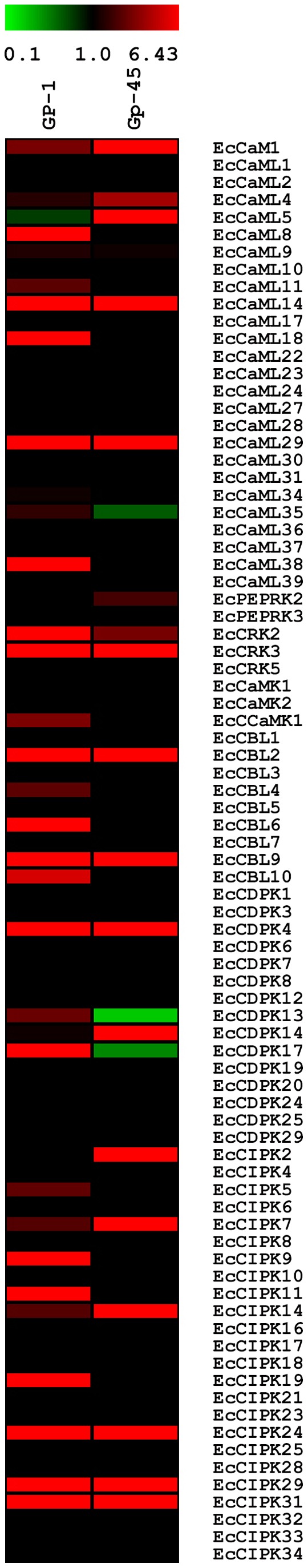 Transcriptome Wide Identification And Validation Of Calcium Sensor Gene