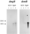 FIG. 5