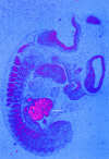 Figure  3