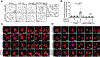 Figure 5: