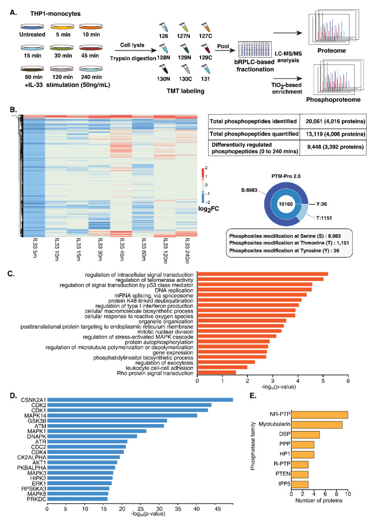 Temporal Quantitative Phosphoproteomics Profiling Of Interleukin 33