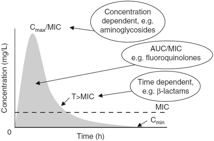 Pharmacokinetic Considerations And Dosing Strategies Of Antibiotics In