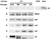 FIG. 7