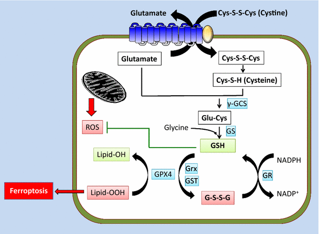 Fig. 2