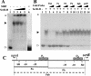 FIG. 3.