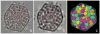 Fig. 5