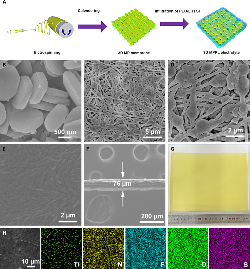 Regulate Transportation Of Ions And Polysulfides In Allsolid State Li