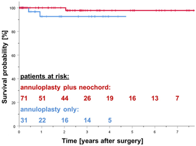 Minimally Invasive Mitral Valve Repair Of Symmetric And Asymmetric