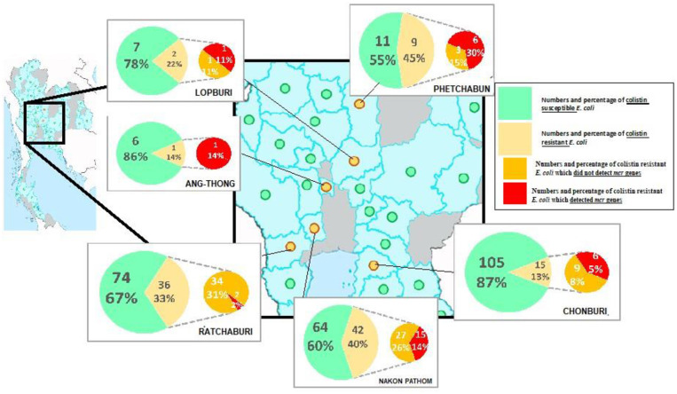 Multidrug Resistance And Virulence Factors Of Escherichia Coli