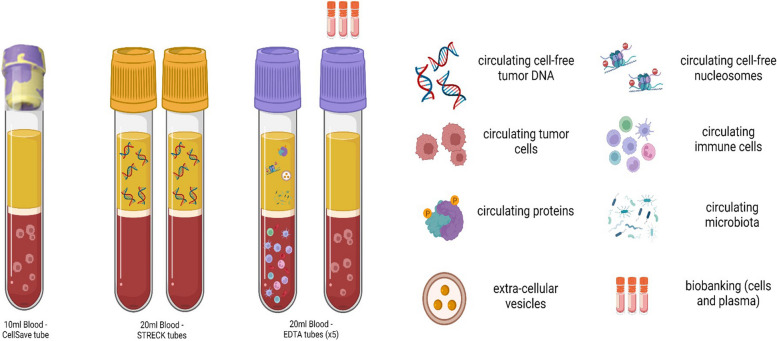 Early Detection Of Pancreatic Cancer By Liquid Biopsy Panlipsy A