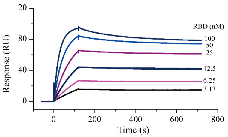 Blocking Effect Of Demethylzeylasteral On The Interaction Between Human