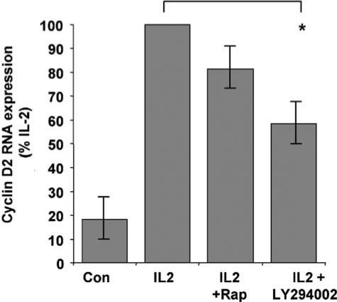 Ly And Rapamycin Co Operate To Inhibit T Cell Proliferation Pmc