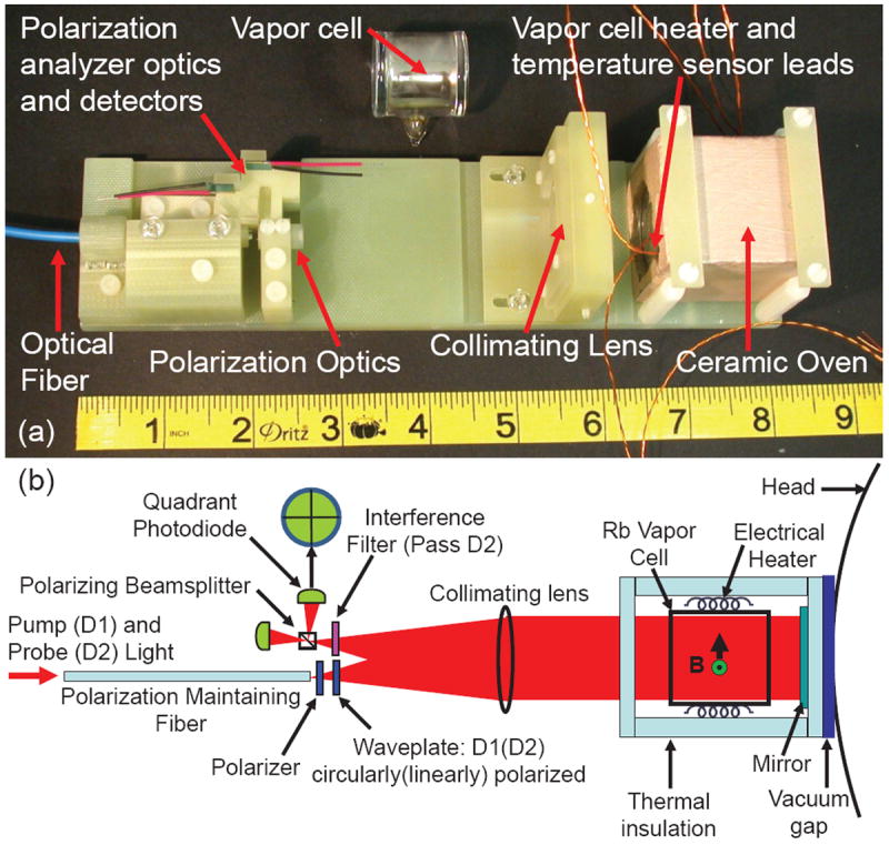 Multi Sensor Magnetoencephalography With Atomic Magnetometers PMC