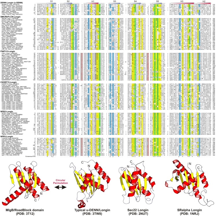 Discovery Of Novel Denn Proteins Implications For The Evolution Of