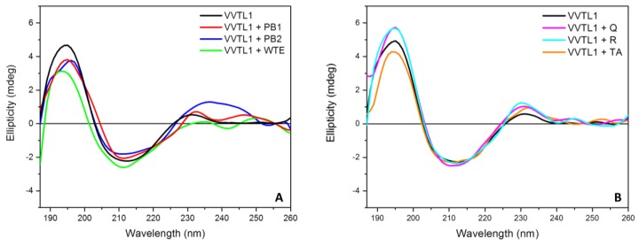 The Secondary Structure Of A Major Wine Protein Is Modified Upon