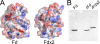FIGURE 10.
