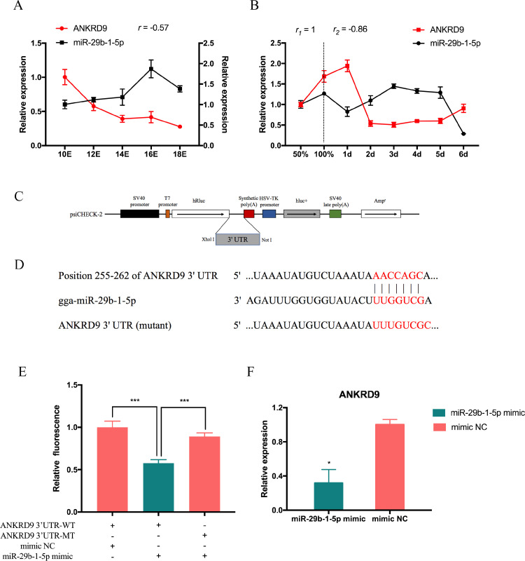 MiR 29b 1 5p Regulates The Proliferation And Differentiation Of Chicken