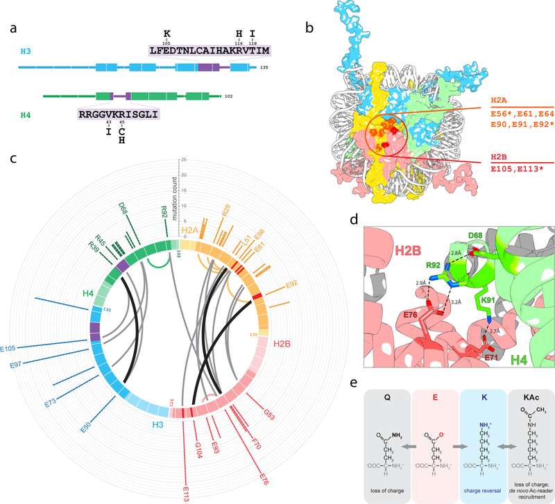 The Expanding Landscape Of Oncohistone Mutations In Human Cancers PMC