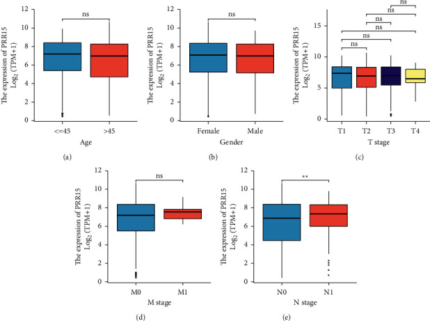 PRR15 Is A Novel Diagnostic And Prognostic Biomarker In Papillary