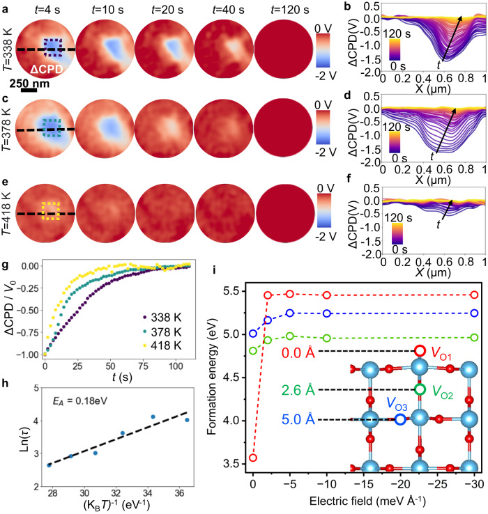 High Speed Mapping Of Surface Charge Dynamics Using Sparse Scanning