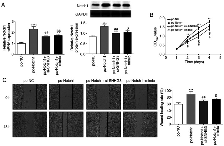 LncRNA SNHG3 Acts As Oncogene In Ovarian Cancer Through MiR 139 5p And