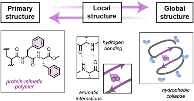 Controlling Amphiphilic Polymer Folding Beyond The Primary Structure