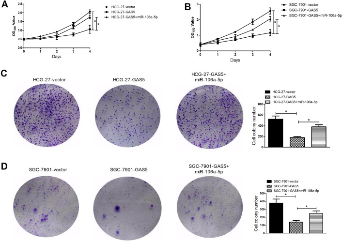 Overexpression Of Long Noncoding RNA GAS5 Suppresses Tumorigenesis And